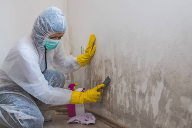 Asbestos and Lead Testing During Mold Inspection in St Anthony, MN