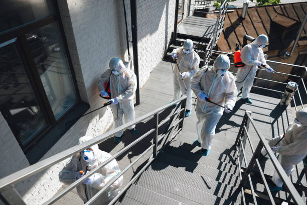 Environmental Consulting for Mold Prevention in St Anthony, MN