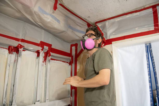  St Anthony, MN Mold Removal Pros