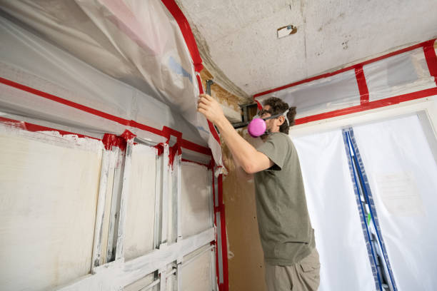 Best Residential Mold Inspection & Testing  in St Anthony, MN