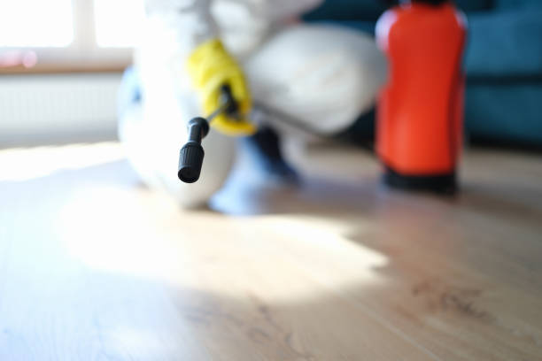 Best Airborne Mold Testing  in St Anthony, MN