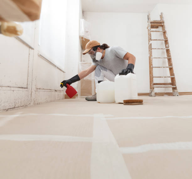 Best Asbestos and Lead Testing During Mold Inspection  in St Anthony, MN